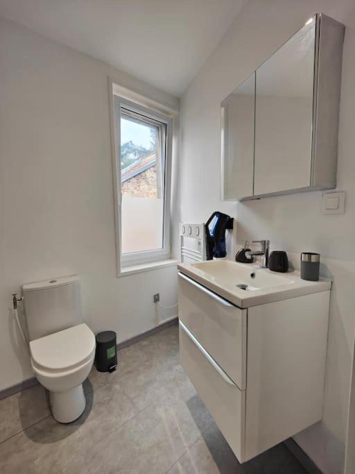 La Feline - Duplex - Vieux Valenciennes - Familial Apartment ภายนอก รูปภาพ